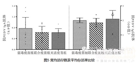 圖5 窩均活仔數(shù)及平均存活率比較